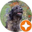 Sylvie Maillet profile picture