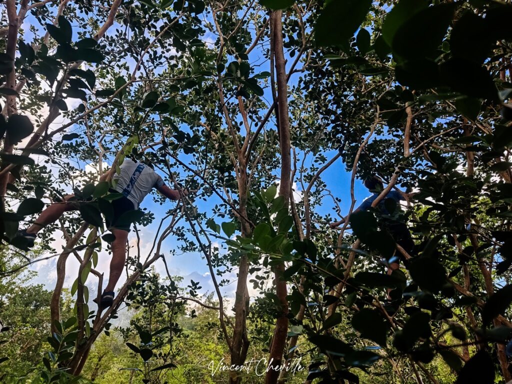 Eruption Piton de la Fournaise 13 Mars 2026
