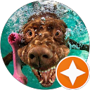 Frederic Dehaudt profile picture