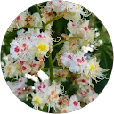 Sandrine S profile picture